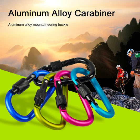 Carabiner Keychain