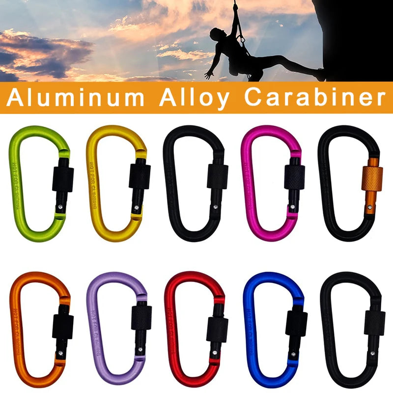 Carabiner Keychain